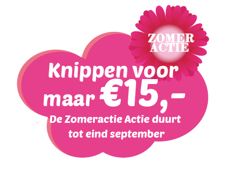 Zomeractie